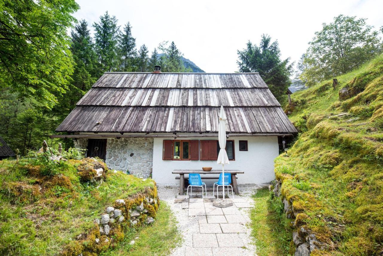 Вилла Fairy Tale House Трента Экстерьер фото