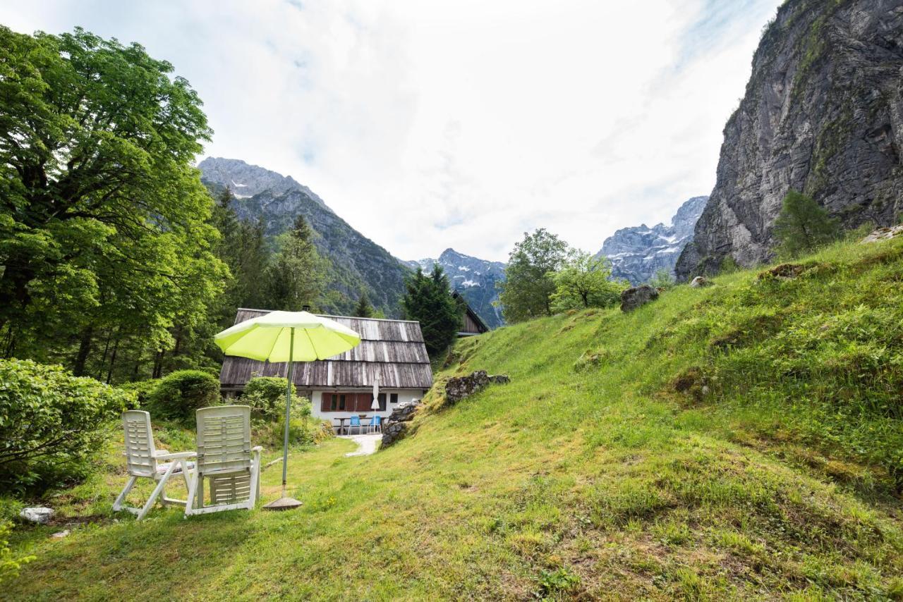 Вилла Fairy Tale House Трента Экстерьер фото