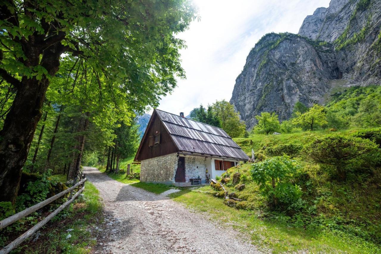 Вилла Fairy Tale House Трента Экстерьер фото